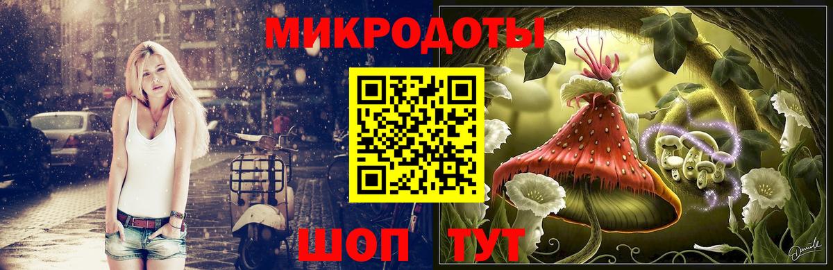 продажа наркотиков  Галлюциногенные грибы GOLDEN TEACHER  Вход с VPN  Ачхой-Мартан  Псилоцибиновые грибы Psilocybine cubensis 